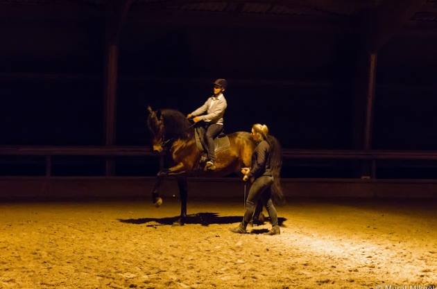 Stage avec Isa Danne le samedi 11 Avril 2015 – Equitation dressage Classique