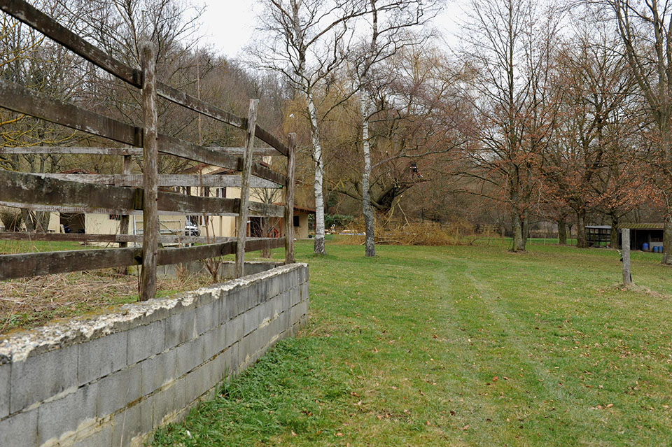 2010 arrivé au domaine - Elagage