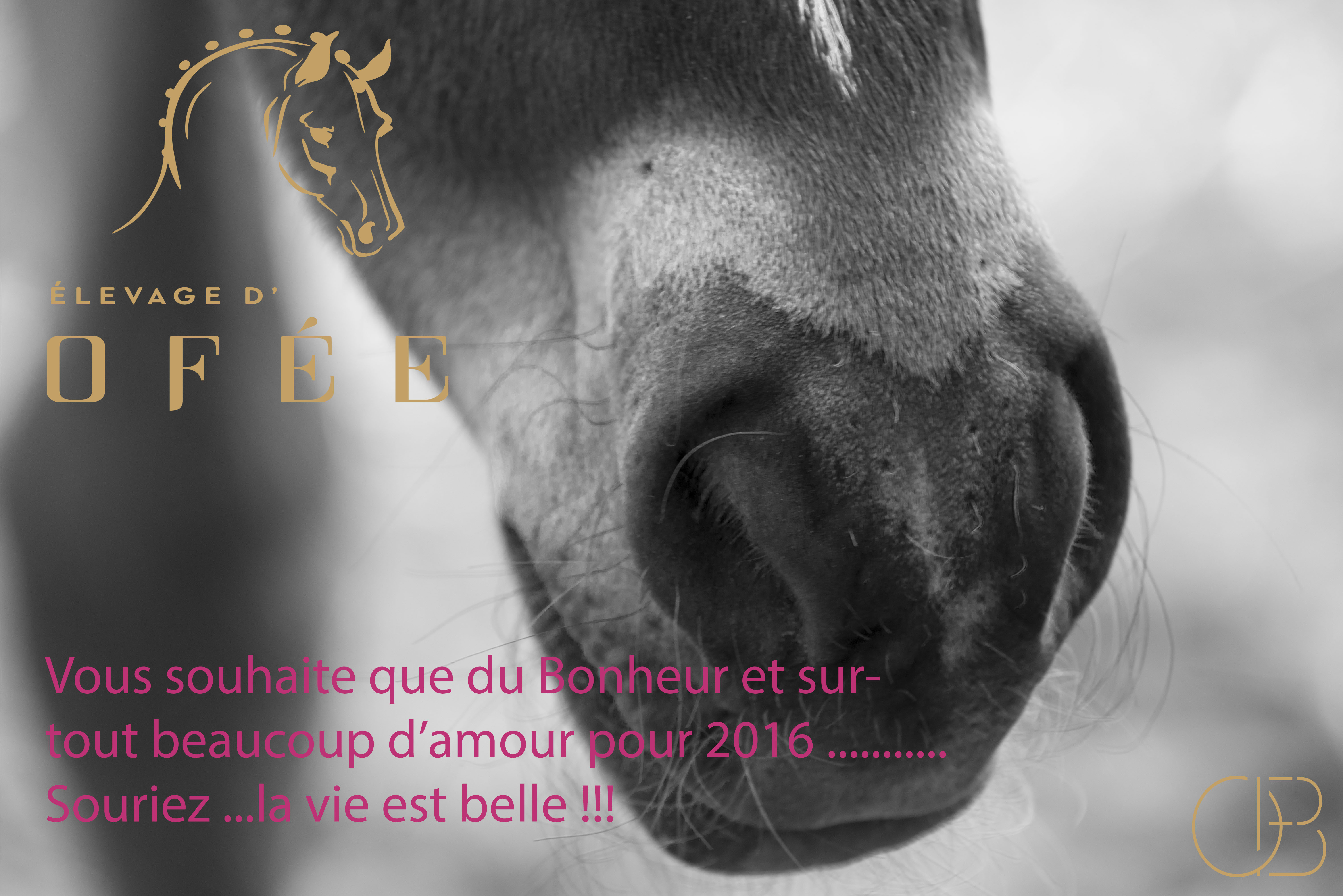 Bonnes Fêtes et bonne Année 2016 !!!